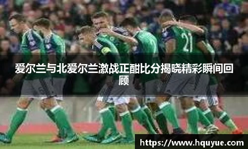 爱尔兰与北爱尔兰激战正酣比分揭晓精彩瞬间回顾